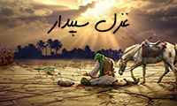 غزل سپیدار